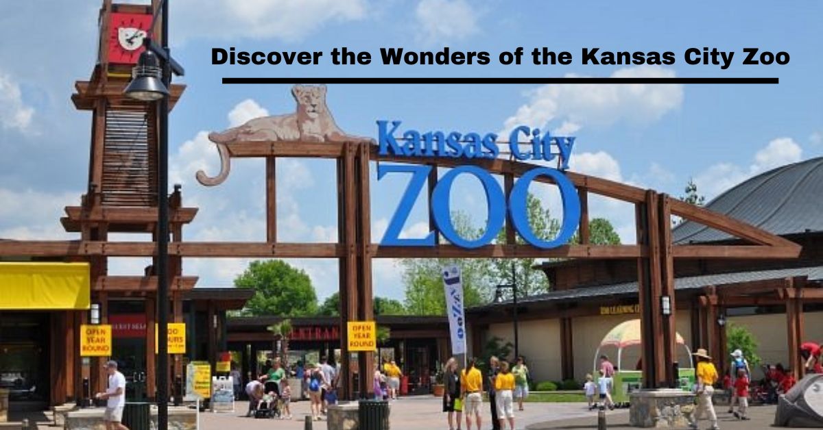 Discover the Wonders of the Kansas City Zoo